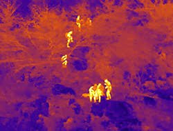 Thermal imaging view from a drone